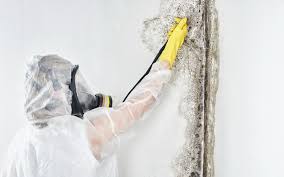  , USA Mold Inspection Pros